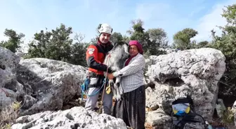 Son dakika haberi! Mersin'de 100 metre aşağıda keçi kurtarma operasyonu