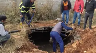 Tüm köy yerin altından gelen sese kilitlendi! Toprağın altından kayıp at çıktı