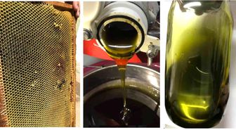 Bursa'da akademisyenler kaliteli bal için doğal arı yemi üretti