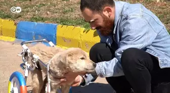 Engelli kedi ve köpeklerin kurtarıcısı Mardinli Hasan Kızıl