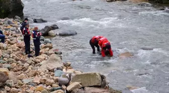 Giresun'da korkuluğuna çarptığı köprüden dereye düşen kamyonet sürücüsü yaşamını yitirdi