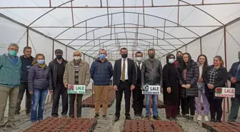 Şarkikaraağaç'ta 8 bin lale ve sümbül soğanı dikildi