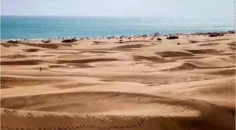 Turistlerin 'çölde cinsellik' fantezisi, koruma altındaki kumulları tahrip etti!