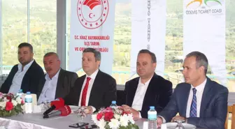 Kiraz'da coğrafi işaret tescilli Çavuşdağ fasulyesinin tanıtımı yapıldı