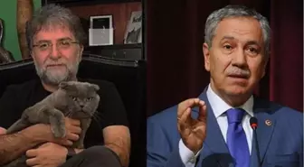 Bülent Arınç'a Ahmet Hakan'ın kedisi Sekter yanıt verdi!