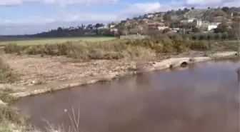 Büyük Menderes Nehri'nde toplu balık ölümleri görüldü