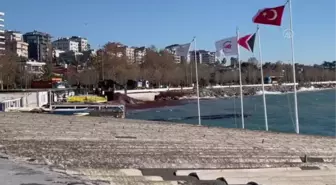 Fırtınanın ardından Caddebostan sahilini kaplayan kırmızı yosunlar toplanıyor