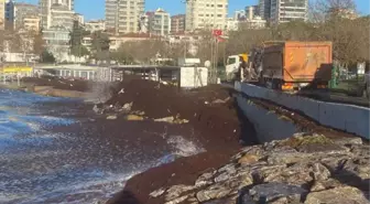 KADIKÖY'DE SAHİLİ YİNE KIRMIZI YOSUN SARDI