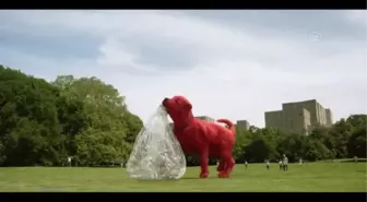 SİNEMA - Clifford Büyük Kırmızı Köpek