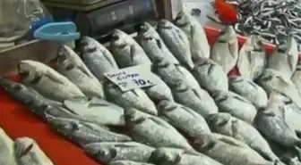 Balık altınla yarışıyor! Mezgitin kilosu 50 lira oldu!