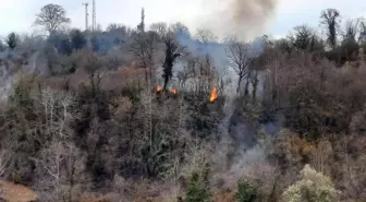 Sinop'ta orman yangını