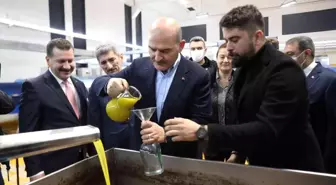 Bakan Soylu zeytinin zeytinyağına ait serüveni izledi