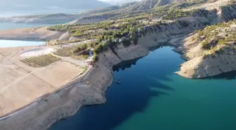 Barajın turkuazı ormanın yeşili