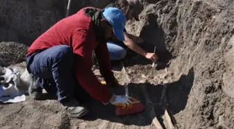 HAMAÇ HÖYÜK KAZISINDA NEKROPOL BULUNDU