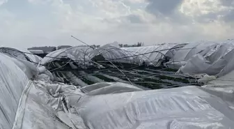 2 gün sonra hasat yapılacak seralar, fırtınada yerle bir oldu