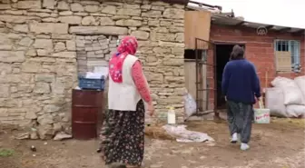 DİYARBAKIR - İnek sağarak güçlendirdiği bileğiyle dünya üçüncüsü oldu