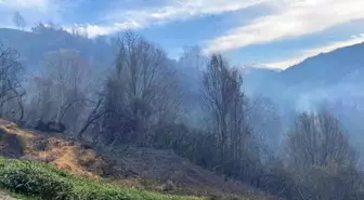 Rize'nin Fındıklı ilçesinde yangın