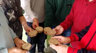 İlkokul öğrencilerinin 'Minik Ellerde Işıldayan Frigya' projesi