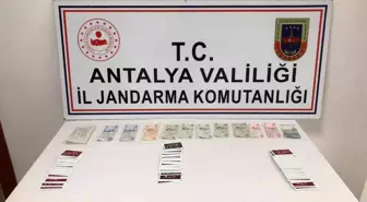 Manavgat'ta kumar operasyonu