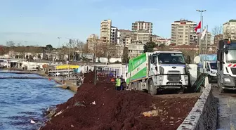 Caddebostan Sahili'ni kaplayan kırmızı yosunlar toplanıyor