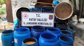 Hatay'da 240 litre sahte alkol ele geçirildi, 1 şahıs gözaltına alındı