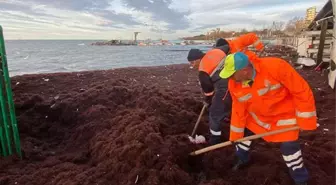 Lüks semtte boydan boya kırmızıya bürünmüş sahili gören vatandaş: Marmara Denizi kusuyor sandım