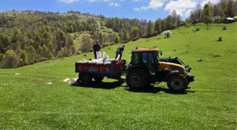 Ordu'da mera alanları ıslah ediliyor