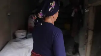 Ahşap yayıktan sofralara uzanan lezzet: Tonya tereyağı