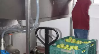 Erzincan'ın kurutulan meyveleri yurt dışı pazarında