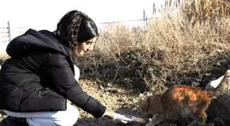 KYK'lı öğrencilerden örnek davranış