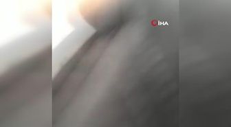 Son dakika haber | Lübnan'da Hamas ve El Fetih arasında silahlı çatışma: 3 ölü, 10 yaralı