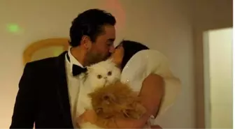 Romantik Doğum Günü Kutlaması
