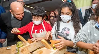 Zeytin Barış Festivali 'Bir Zeytin Dalı Yeter' sloganıyla başladı