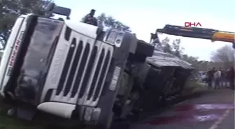 BÜYÜKBAŞ HAYVAN YÜKLÜ TIR DEVRİLDİ, ŞOFÖR YARALANDI