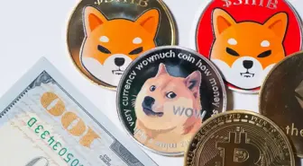 Shiba Inu ve Safemoons izlerini takip eden HUH Token 48 saatte 1000% pazar artışı yakalıyor