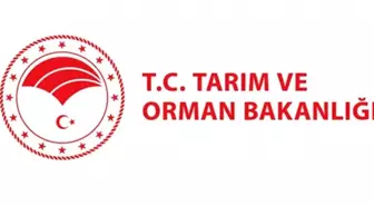 Tarım ve Orman Bakanlığı arpa fiyatlarına yönelik iddialara ilişkin açıklama yaptı Açıklaması