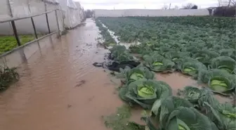 Biga'da sağanak günlük yaşamı olumsuz etkiledi; seraları sular altında bıraktı