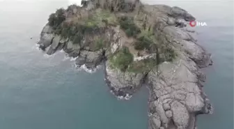 Giresun Adası'nda kazılar yeniden başlayacak