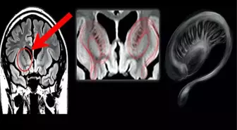 Ünlü profesör gizli araştırmayı ifşa etti! UFO'larla karşılaşan askerlerin beyni açıldı, sonuç korkunç