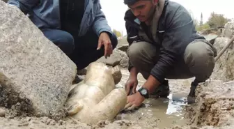 Aizanoi Antik Kenti'ndeki kazı çalışmalarında 'Herkül'ün baş kısmı olmayan mermer heykeline ulaşıldı