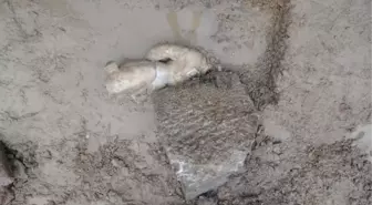 Marble statue of 'Hercules' found in an excavation in Aizanoi Ancient City