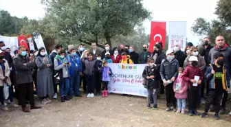 Bodrum'da 200 göçmen antik kenti gezdi