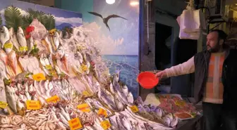 En hesaplı hayvansal protein kaynağı 'Balık'