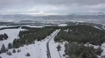 Kar yağışı nedeniyle 39 köy yolu ulaşıma kapandı