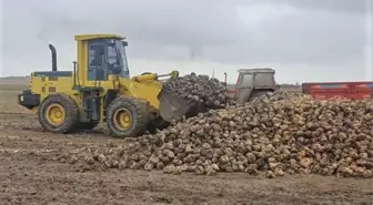 Nevşehir Özel İdare ekipleri, ürünü tarlada kalan üreticiye yardımcı oldu