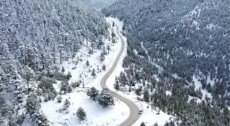 Yüksek kesimlerde kar kalınlığı 30 santimetre oldu