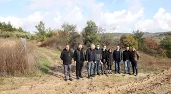 Budanya Belediyesi ayçiçek yağı ve buğday unu üretecek