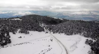 Topçam yaylası beyaz örtü ile kaplandı