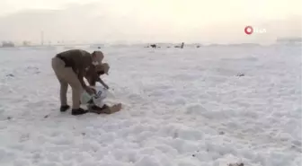 Son dakika... Konya'da hayvanları koruma polisleri, bin 45 ihbara yanıt verdi