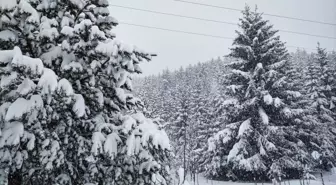 Sakin Şehir Şavşat'dan kartpostallık kar manzaraları